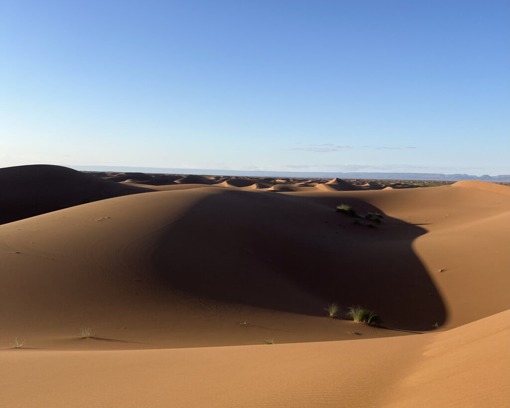 Canaries et Maroc pour partir au soleil en février sans long vol