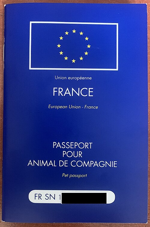 Voyager en Croatie avec son chien en road trip