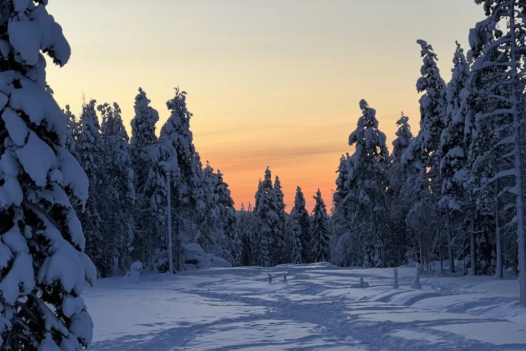 Choisir une région pour un séjour en Laponie finlandaise