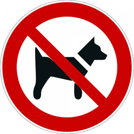 Restaurant en Croatie avec un chien